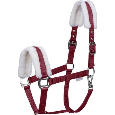 Halsband voor Mini-Shetland met vacht Waldhausen First