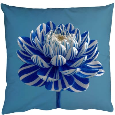 Sierkussens - Kussentjes Woonkamer - 50x50 cm - Bloem - Blauw - Bloemblaadjes - Streepjes