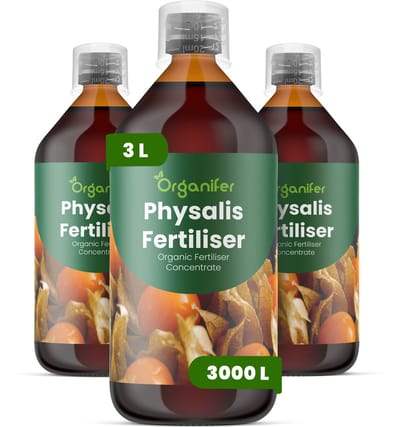 Vloeibare Meststof Voor Physalis 3X1 L Voor 3000 L - Npk 2-1-8 - Gelijkmatige Groei - Compacte Plantstructuur - Betrouwbare Vruchtzetting - Vruchtstevigheid - Sterk Wortelstelsel - Hittebestendig - Continue Vruchtproductie - Organifer