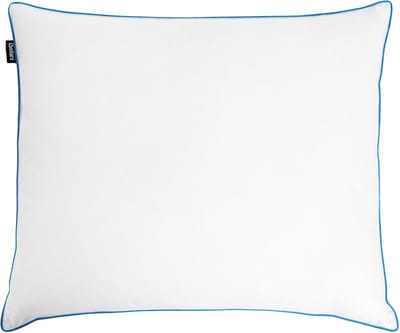 ANETO - Hoofdkussen 3 vakken - Wit - 80 x 80 cm - Laag - Eendenveren