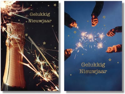 MGPcards - 20 Luxe dubbele wenskaarten - Kerstkaarten / Nieuwjaar - Foliebewerking - Witte envelop - 10.5 x 16 cm - 2 Motieven per doosje