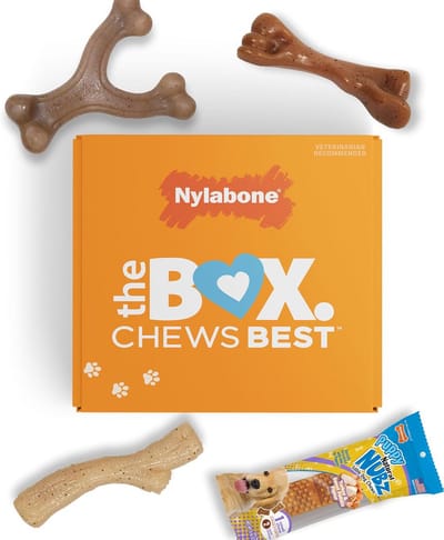 Cadeaubox Puppy Speelgoed voor Kleine Honden: 3 Duurzame Kauwspeeltjes en Leuke Traktatie