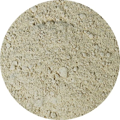 Van Beekum Specerijen - Knoflookpoeder - 25 KG - Doos (bulk verpakking)