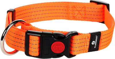 Flamingo Len - Halsband Honden - Halsband Len Oranje L 45-65cm 25mm - 1st - 125002 - 1st
