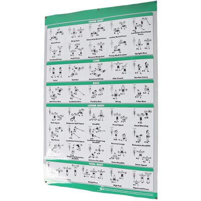 60x90cm Halter Workout Oefenposters Duidelijke Volledige Kleuren Afbeeldingen Halter Fitness Home Gym Poster white