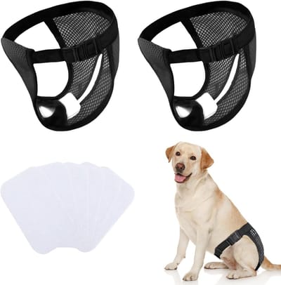 Herbruikbare hondenluiers voor grote honden, 2 stuks met 6 inleggers voor maandelijkse bescherming, zwart