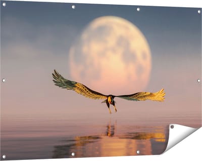 Gards Tuinposter Adelaar boven het Water bij de Maan - 120x80 cm - Tuindoek - Tuindecoratie - Wanddecoratie buiten - Tuinschilderij