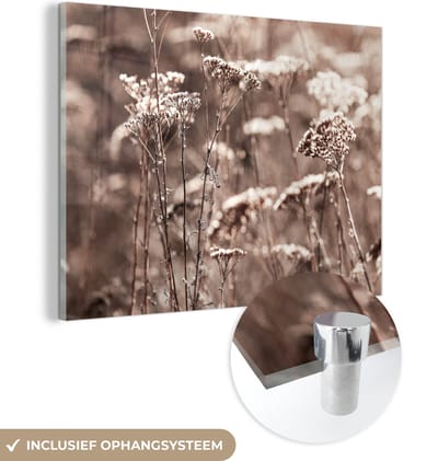 MuchoWow® Glasschilderij 160x120 cm - Schilderij acrylglas - Planten - Bloemen - Winter - Sneeuw - Sepia - Foto op glas - Schilderijen