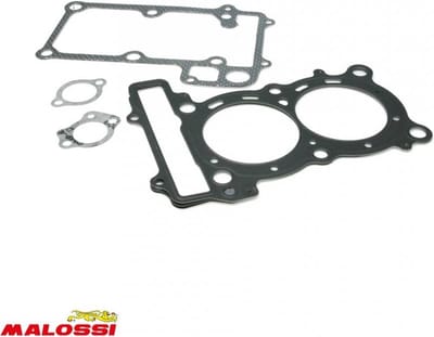 Malossi-motorafdichting voor scooter 312 500 8698 (2004 t/m 2011) 1114284 / 560 cc, nieuw