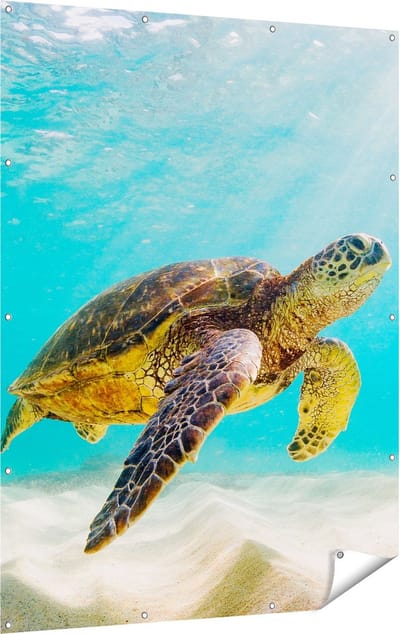 Gards Tuinposter Schildpad Zwemt in de Helder Blauwe Zee - 120x160 cm - Tuindoek - Tuindecoratie - Wanddecoratie buiten - Tuinschilderij
