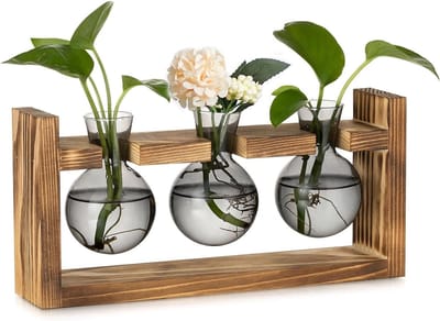 Glazen Propagatiestation voor Thuis: Kleine Bolvormige Bloemenvase met Houten Frame voor Binnen, Perfect voor Woonkamer, Keuken en Bureau Decor - Terrarium voor Hydroponics en Plantenvermeerdering