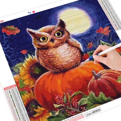 Diamant schilderij volledige boor ronde uil kunst diamant pompoen borduurwerk steentjes foto Halloween 30x30CM