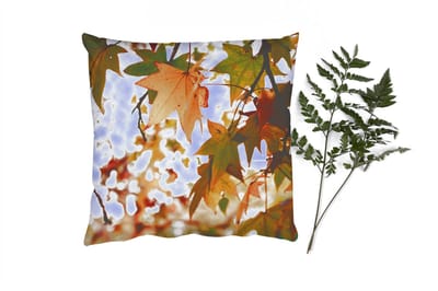 Sierkussens - Kussentjes Woonkamer - 50x50 cm - Natuur - Herfstbladeren - Landelijk