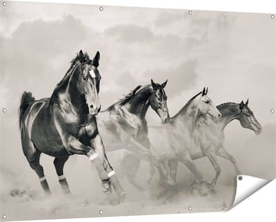Gards Tuinposter Vier Paarden naast Elkaar - Zwart Wit - 150x100 cm - Tuindoek - Tuindecoratie - Wanddecoratie buiten - Tuinschilderij