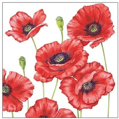 80x Klaprozen/poppy bloemen voorjaar servetten 33 x 33 cm - Papieren wegwerpservetten 3-laags