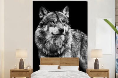 Behang - Fotobehang Wolf - Dieren - Wild - Zwart - Wit - Breedte 170 cm x hoogte 260 cm