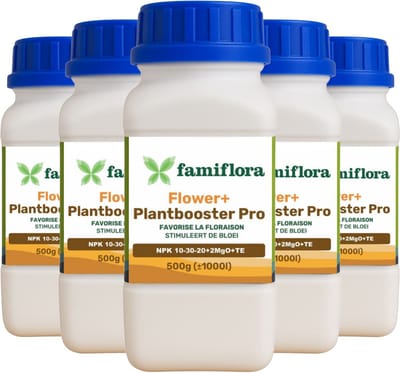 Famiflora Flower+ Plantbooster Pro NPK 10-30-20+2MgO+TE - 2500GR (5 x 500GR) - In water oplosbare meststof - Geschikt voor binnen- en buitenplanten, ook hydrocultuur en aeroponica