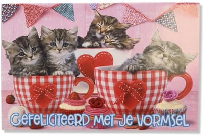 Vormsel Wenskaart - 12x17cm - Gevouwen kaart inclusief envelop - Heilig Vormselkaart