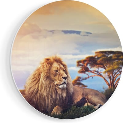 Artaza Forex Muurcirkel Leeuw Tijdens Zonsondergang - 50x50 cm - Klein - Wandcirkel - Rond Schilderij - Muurdecoratie Cirkel