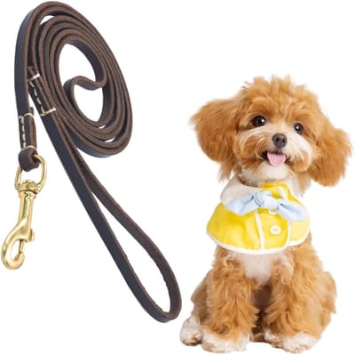 Honden Trektouw - Touw voor Honden - Buitenactiviteiten - Ergonomische Handgreep - 155 cm Lengte - Bruin