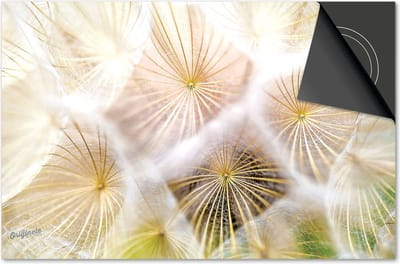 Inductie beschermer 60x60 - afdekplaat inductie mat - Dietrix Kookplaat beschermer - Exclusief - Bloemen en Planten - Dandelion