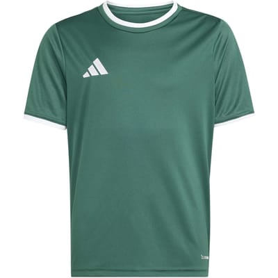 adidas T-shirt Kinderen Entrada 26 Jersey Groen - Maat 140cm