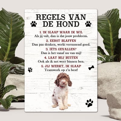 Spreuken - Lagotto Romagnolo - Regels Van De Hond - Spreuken Bordjes - Spreukenbord - Tekstborden - Cadeau - Hondenras