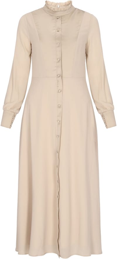usha Dress