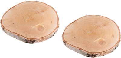 Rayher Decoratie boomschijf met schors - 2x - berkenhout - D26 cm - Hobby/Knutselen - Kaarsenplateau - rond