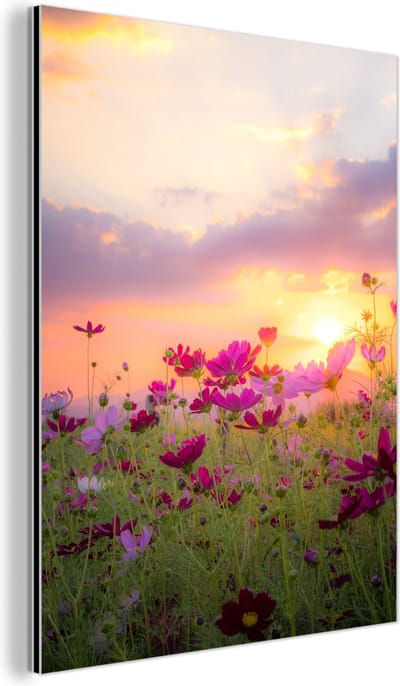 Aluminium schilderij 60x80 cm - Wanddecoratie metaal - Bloemen - Roze - Zonsondergang - Natuur - Weide - Horizon - Metalen muurdecoratie woonkamer - Decoratie industrieel - Foto op dibond - Industriële accessoires slaapkamer