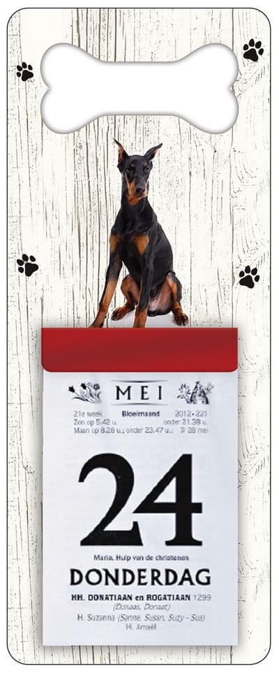 Scheurkalender 2027 Hond: Dobberman