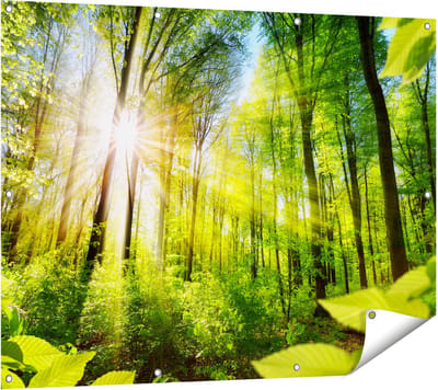 Gards Tuinposter Weg Omringd met Bomen in het Bos - 120x90 cm - Tuindoek - Tuindecoratie - Wanddecoratie buiten - Tuinschilderij