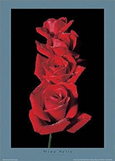 poster PGM Mina Selis - Red Roses I