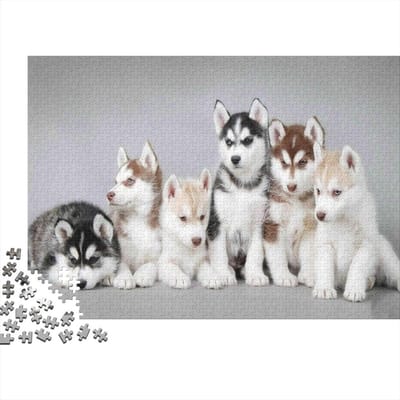 Legpuzzel Husky Puppy - Hond Puzzel - Ontspanning Thuis - 1000 Stukjes - 70 x 50 cm - Multi