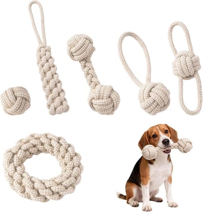 6 stuks kauwspeelgoed van katoenen touw voor huisdieren, katoenen interactief kauwspeelgoed, interactief kauwspeelgoed voor puppy's, hondenkauwspeelgoed, touw, klein, hondenspecifiek kauwspeelgoed van