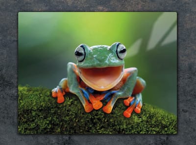 TMK ArtDeko Serie - Glazen Snijplank - 52x40 cm - Gehard Glas - UV Print
