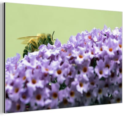 Aluminium schilderij 180x120 cm - Wanddecoratie metaal - Bij tussen vlinderstruik bloemen - Metalen muurdecoratie woonkamer - Decoratie industrieel - Foto op dibond - Industriële accessoires slaapkamer