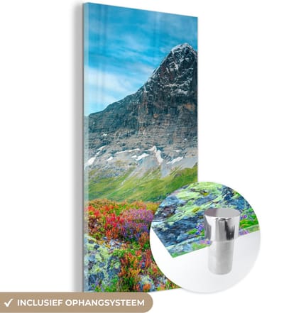 MuchoWow® Glasschilderij 20x40 cm - Schilderij acrylglas - Bloemen - Berg - Sneeuw - Landschap - Foto op glas - Schilderijen