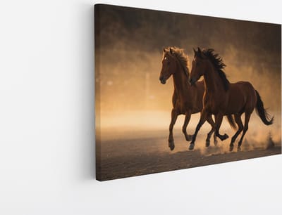 Saammp Canvas Schilderij - 2 Paarden in de Natuur - Dieren - 45x30 - Foto op canvas - Wanddecoratie - muurdecoratie Woonkamer - Slaapkamer decoratie - Canvas Print