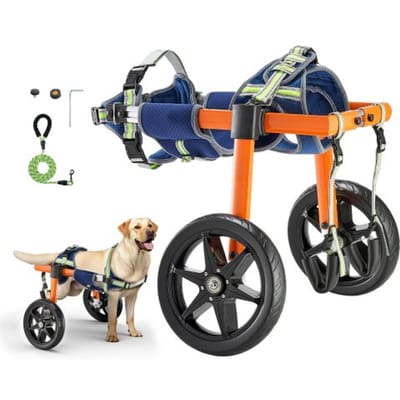 VEVOR Hondrolstoel voor Achterpoten, Lichtgewicht Rolstoel met 2 Wielen voor Huisdieren, In Hoogte, Breedte en Lengte Verstelbaar, Hondenkar met Schokdempende Wielen, voor Gewonde, Gehandicapte Honden van 16-22 Kg, Middelgroot