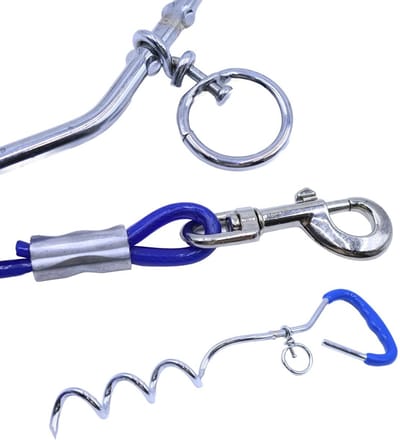 Dailygoods- Hondenharingen Set - Stevige Hondenpaal - Hondenketting 3 m - Draagbare Hondenriem - Geschikt voor Puppy’s/Middelgrote Honden - Koolstofstaal - Hondenpen