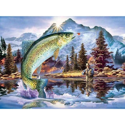 5D Diy Daimond Schilderij Volledige  Vissen  Foto's Steentjes Diamant Mozaïek Diamant Borduren 20X30 gray