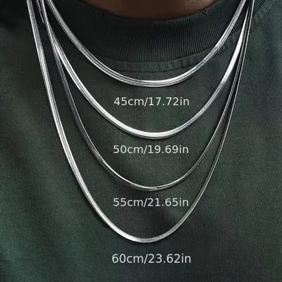 Bovista Ketting - Heren - Staal - Nep zilver - Met Hanger - RVS - 45cm