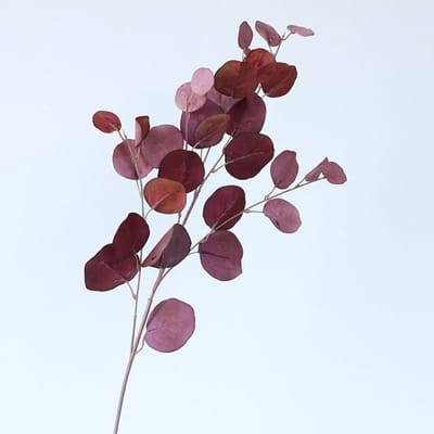 Eucalyptus tak - groot - paars/bruin - zijden bloemen - 3 stelen - onderhoudsvrij - 87 cm - kunstbloemen