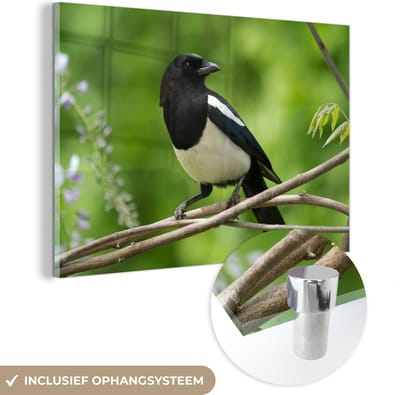 ® Glasschilderij 180x120 cm - Schilderij acrylglas - Ekster - Tak - Bladeren - Foto op glas - Muurdecoratie woonkamer - Wanddecoratie slaapkamer - Schilderijen