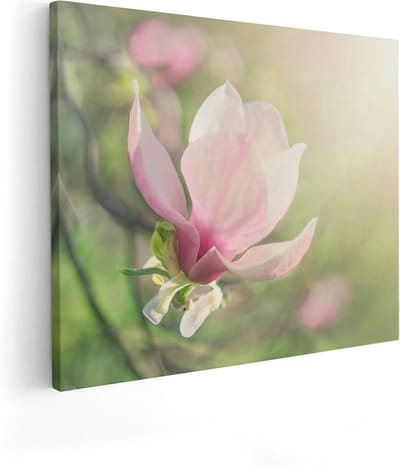 Artaza Canvas Schilderij Magnolia - 100x80 cm - Groot - Wanddecoratie Bloemen - Muurdecoratie Bloesem - Schilderijen Op Canvas Lente