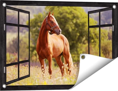 Gards Tuinposter Doorkijk Bruin Paard in de Wei - 60x40 cm - Tuindoek - Tuindecoratie - Wanddecoratie buiten - Tuinschilderij