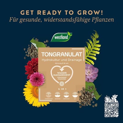 Westland kleigranulaat voor alle potplanten, groene en bloeiende planten, kleiverf 5 Liter bruin