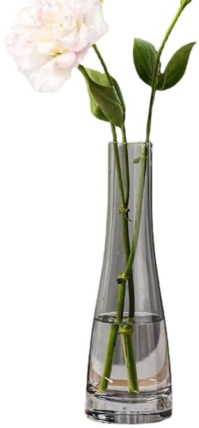 Dailygoods- Glazen Vaas Groot - Handgemaakt - Decoratieve Vaas - Transparant - Bloem Vaas - Middelpunt voor Bruiloft
