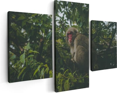 Artaza Canvas Schilderij Drieluik Aap In De Boom Tussen De Bladeren - 90x60 - Foto Op Canvas - Canvas Print